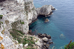 Grotta del Bue Marino